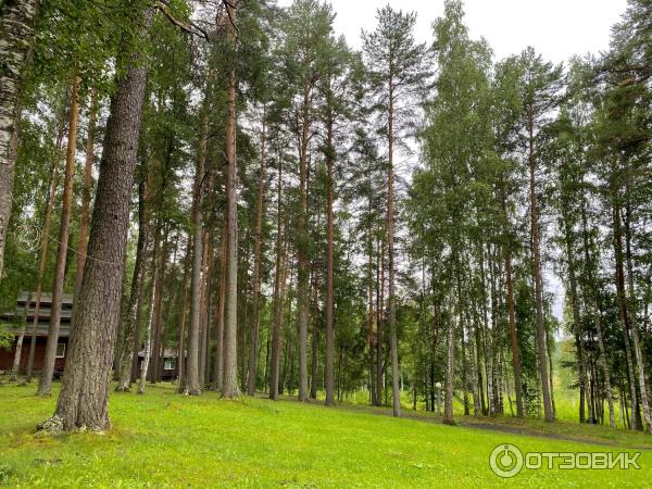 Загородный клуб Авиаретро (Россия, Карелия) фото