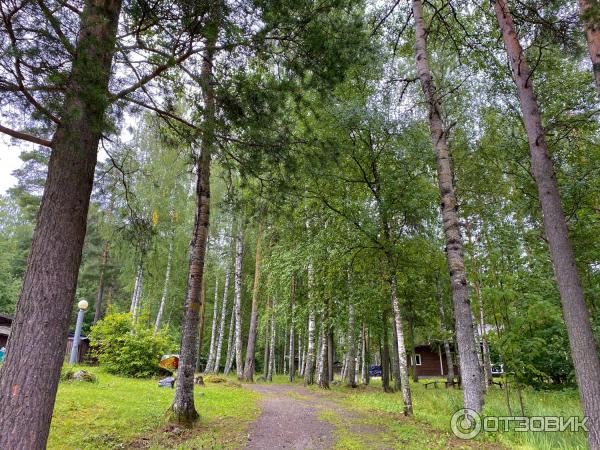 Загородный клуб Авиаретро (Россия, Карелия) фото