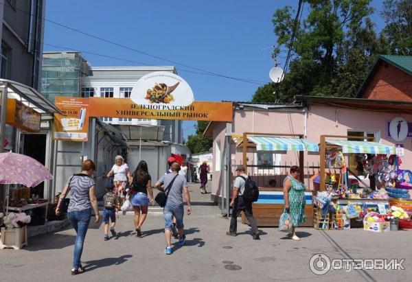 Городской рынок (Россия, Зеленоградск) фото