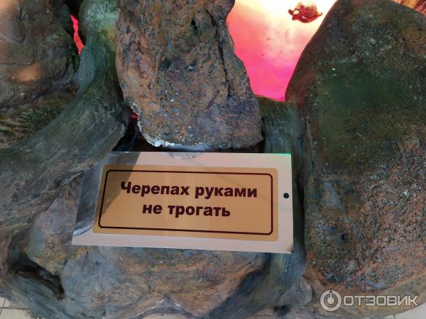 Океанариум Немо (Украина, Харьков) фото