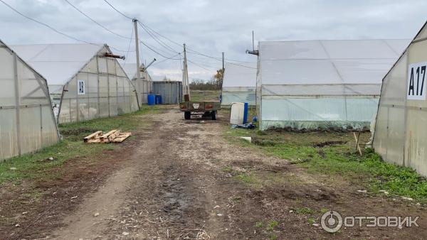 Тепличный комплекс