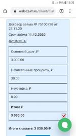 Web-zaim.ru - микрокредитная компания "Веб-займ" (Россия, Новосибирск) фото