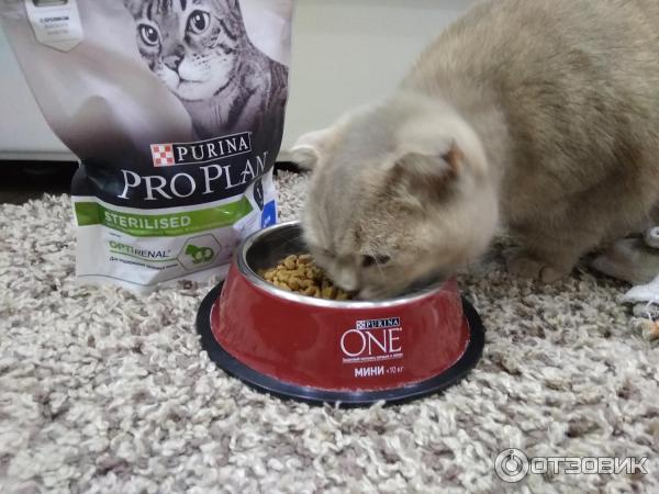 Сухой корм для кошек Purina Pro Plan фото