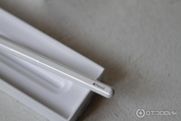 Стилус Apple Pencil 2 фото