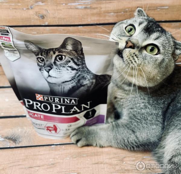 Сухой корм для кошек Purina Pro Plan Delicate фото