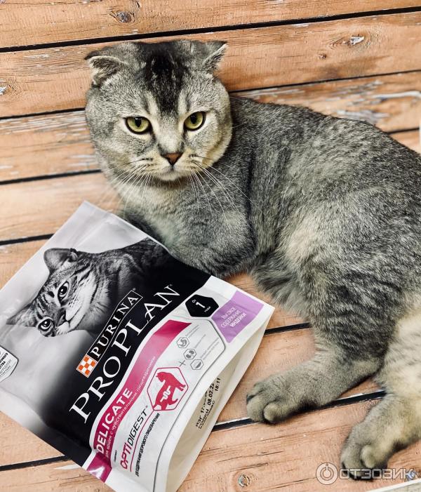 Сухой корм для кошек Purina Pro Plan Delicate фото