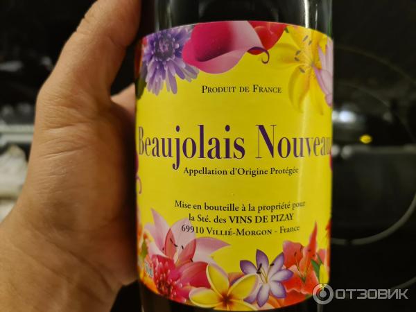 Французское вино Beaujolais Nouveau фото