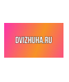 Dvizhuha-ru