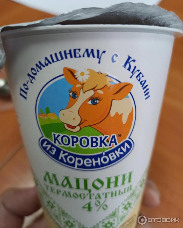 Мацони Коровка из Кореновки фото