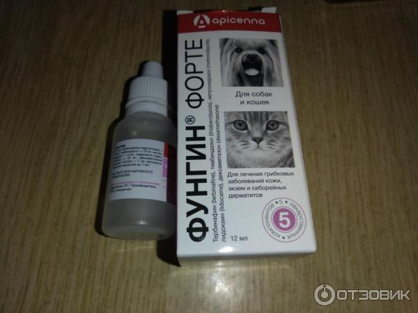 Фунгин форте для кошек