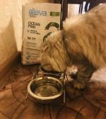 Сухой корм для кошек Alleva Holistic фото