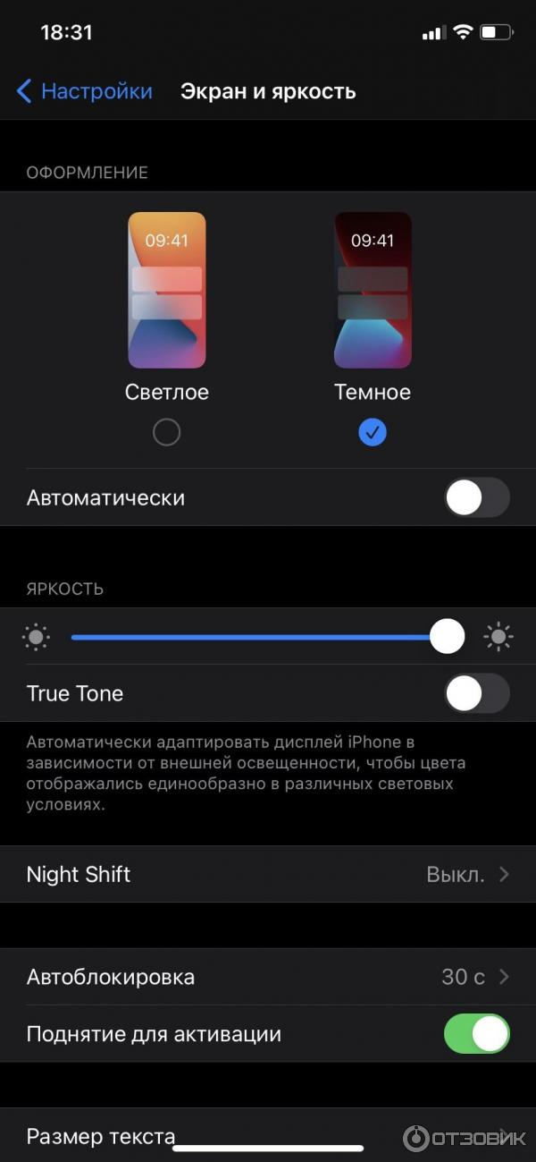 Смартфон Apple iPhone 11 фото