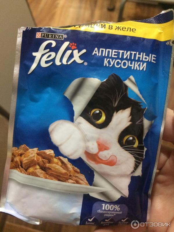 Felix влажный корм