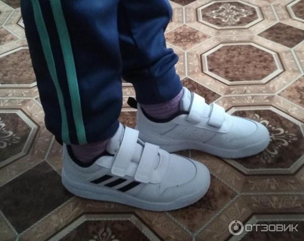 Кроссовки Adidas Performance Tensaur