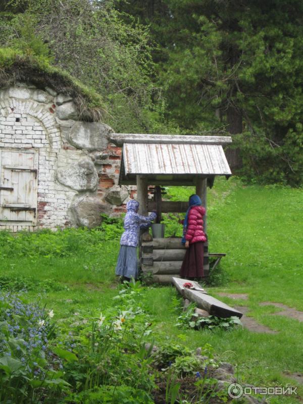 Ботанический сад Соловецких Островов (Россия, Архангельская область) фото