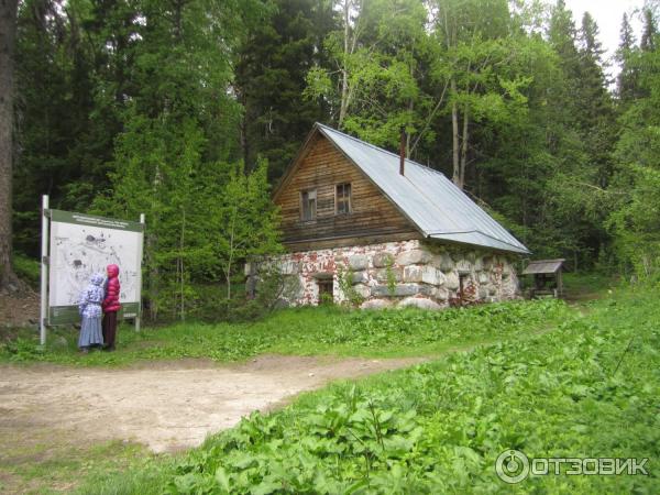 Ботанический сад Соловецких Островов (Россия, Архангельская область) фото