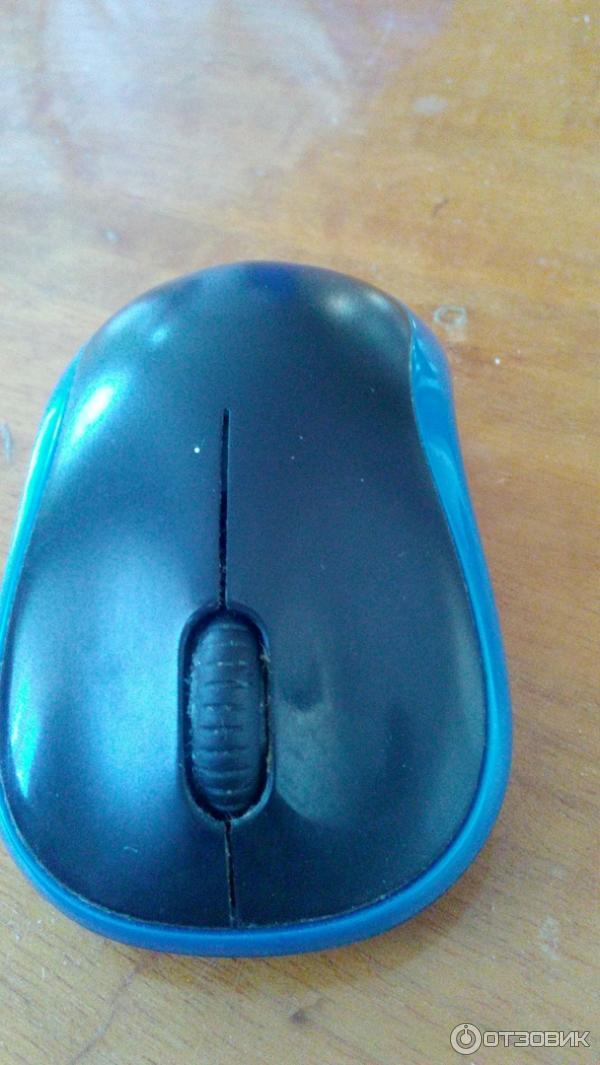 Беспроводная мышь Logitech M185 фото