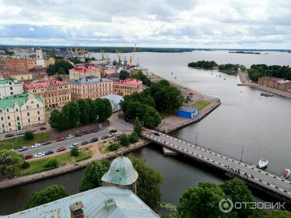 Вид с башни Олафа