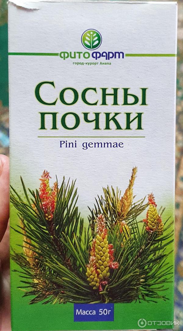 Сосновые почки аптека. Почки сосны обыкновенной препараты. Сосны почки хорст. Почки сосны препараты. Почки сосны отзывы.