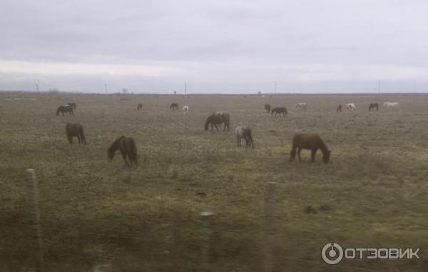 Путешествие из Варны в Бургас (Болгария) фото