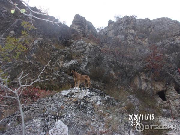 Сказочная долина Кизил-Коба (Россия, Крым) фото