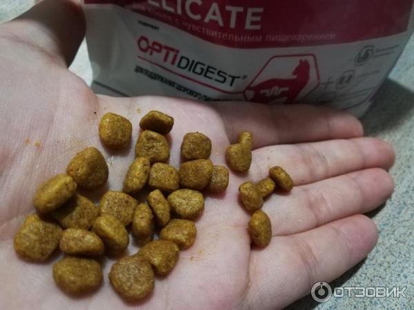 Сухой корм для кошек Purina Pro Plan Delicate фото