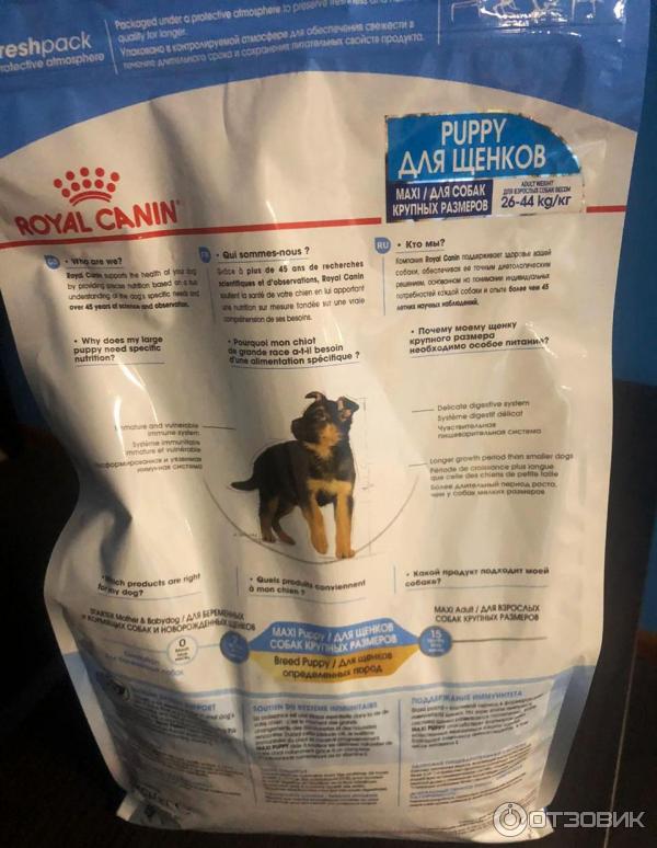 Корм для щенков крупных пород Royal Canin Maxi Junior фото