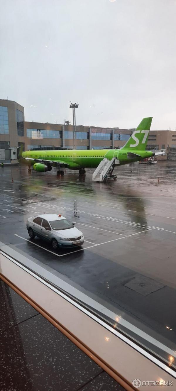 Отзыв о Авиакомпания S7 Airlines | Я в восторге от профессионализма пилотов  и команды стюардов.