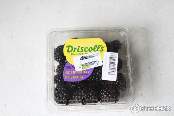 Ежевика свежая Driscoll's фото